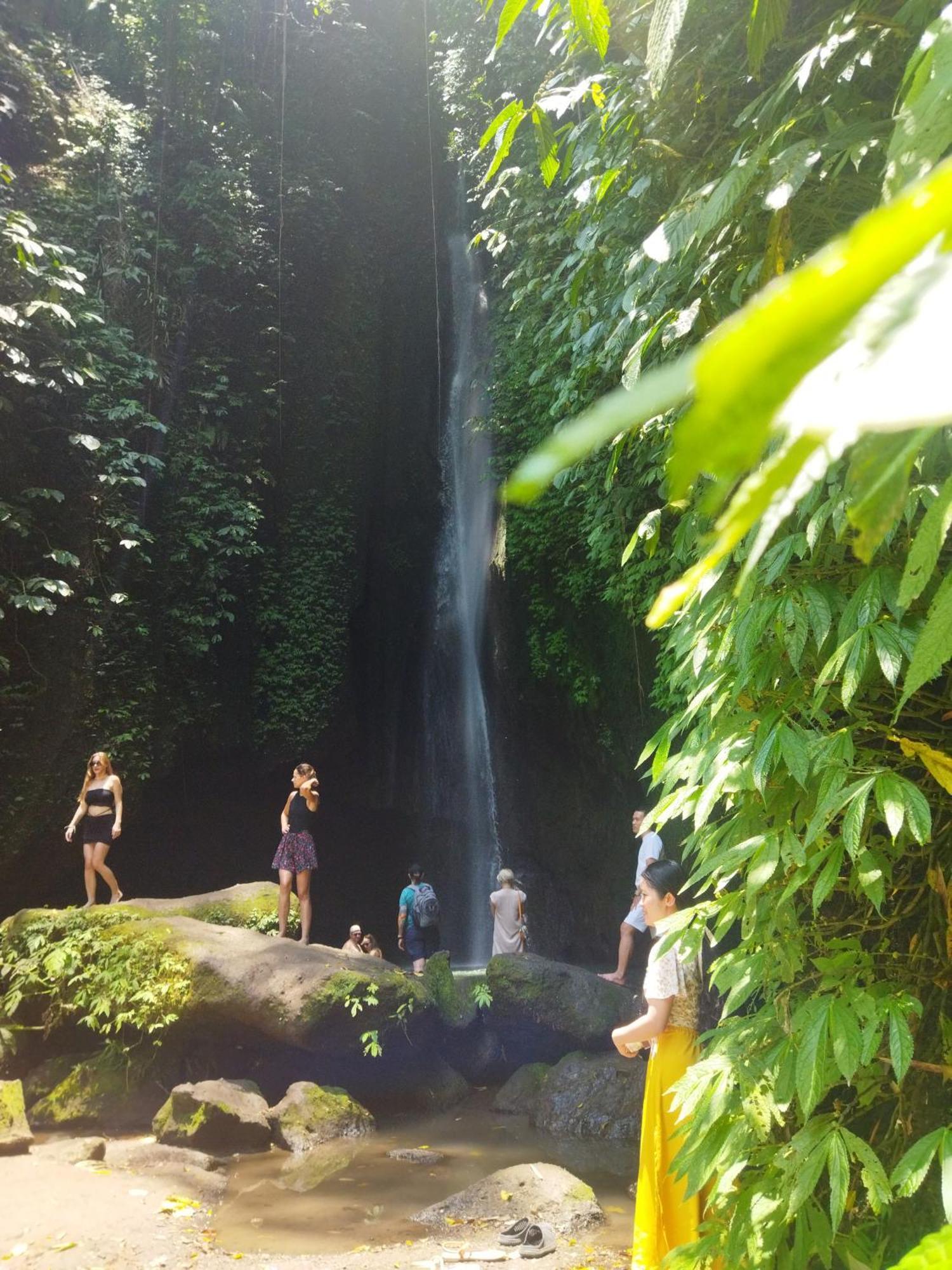 Wahwik'S House Hotel Ubud Eksteriør billede