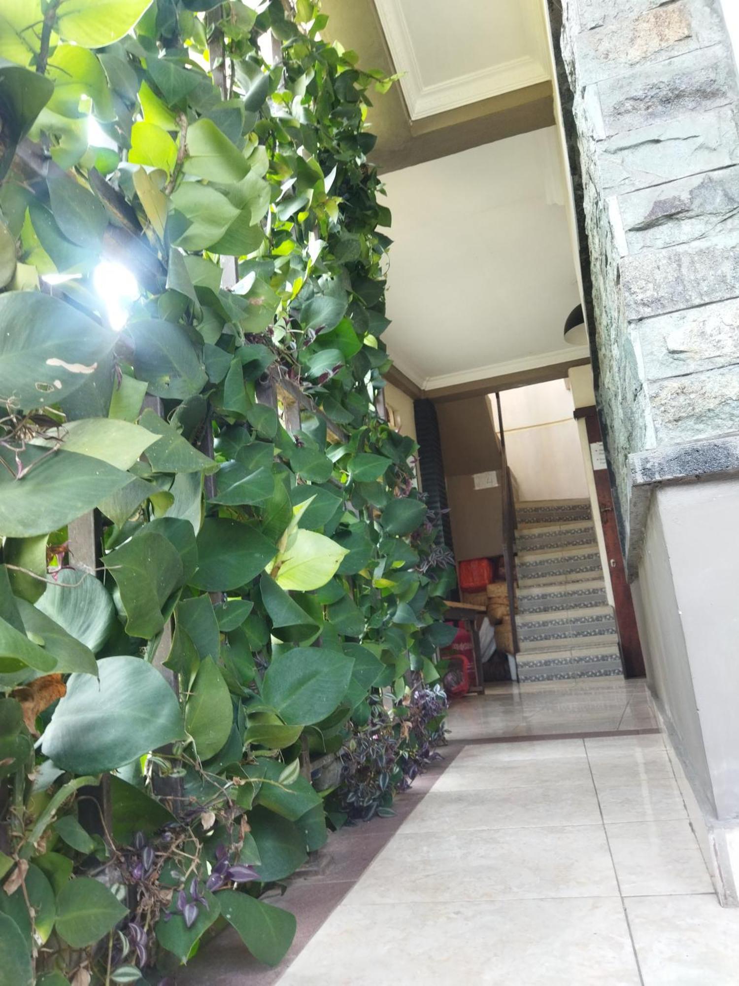Wahwik'S House Hotel Ubud Eksteriør billede