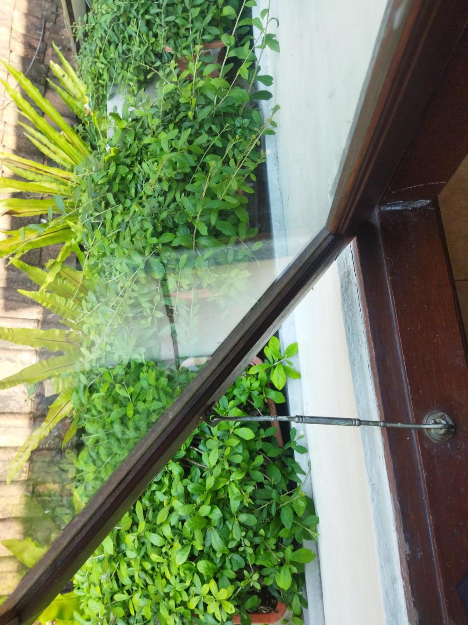 Wahwik'S House Hotel Ubud Eksteriør billede