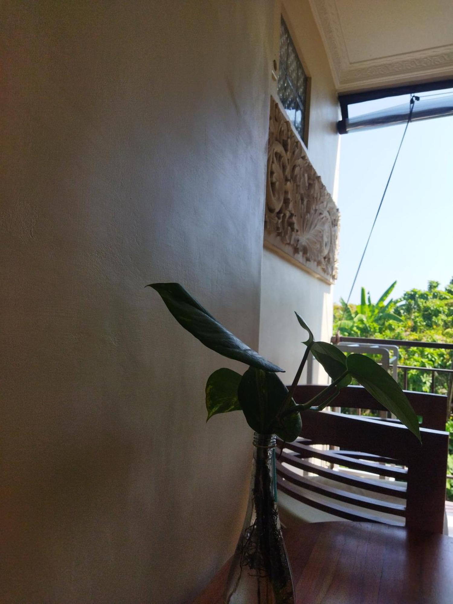 Wahwik'S House Hotel Ubud Eksteriør billede