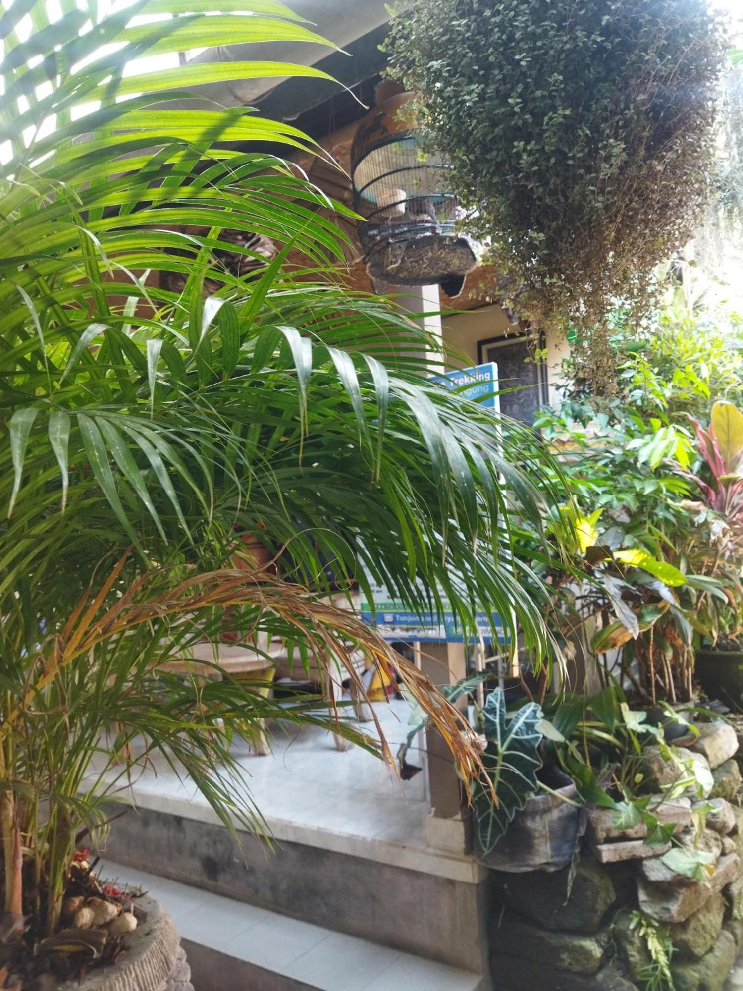 Wahwik'S House Hotel Ubud Eksteriør billede